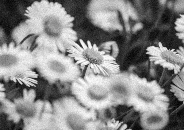 scott-kelley-wMny7YcYhsk-unsplash